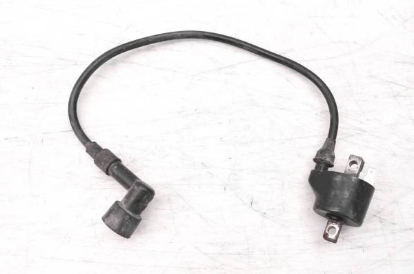 Polaris - 97 Polaris Trailblazer 250 2x4 Ignition Coil