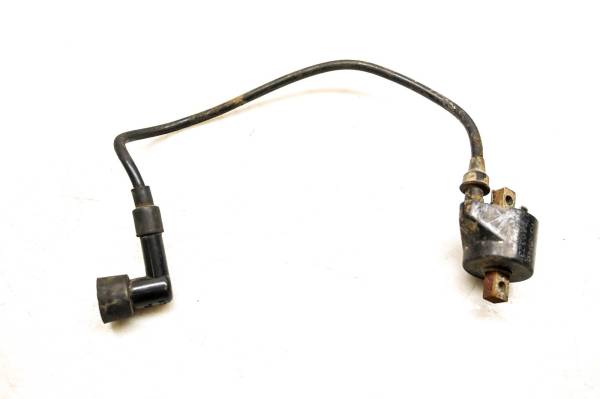 Polaris - 02 Polaris Scrambler 400 4x4 Ignition Coil