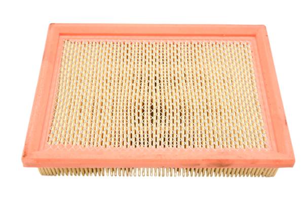 Can-Am - 22 Can-Am Ryker Sport 900 ACE Air Filter