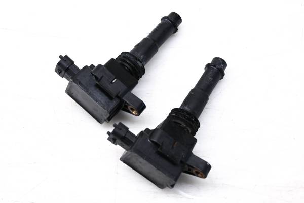 Polaris - 04 Polaris MSX 150 Ignition Coils