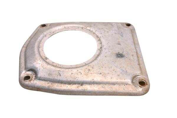 Polaris - 00 Polaris Xplorer 250 4x4 Airbox Retainer Cover