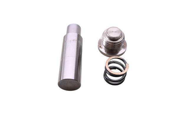 Sea-Doo - 21 Sea-Doo Spark Trixx Cam Chain Tensioner