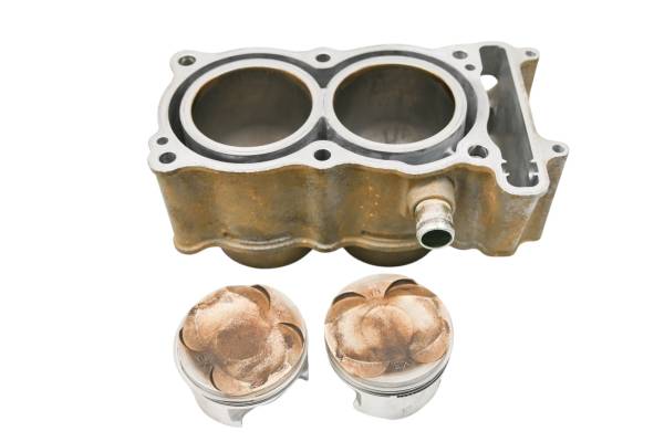 Arctic Cat - 15 Arctic Cat Wildcat Trail 700 LTD Cylinder & Pistons