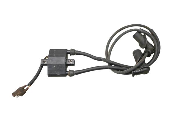 Polaris - 05 Polaris Sportsman MV7 Ignition Coil