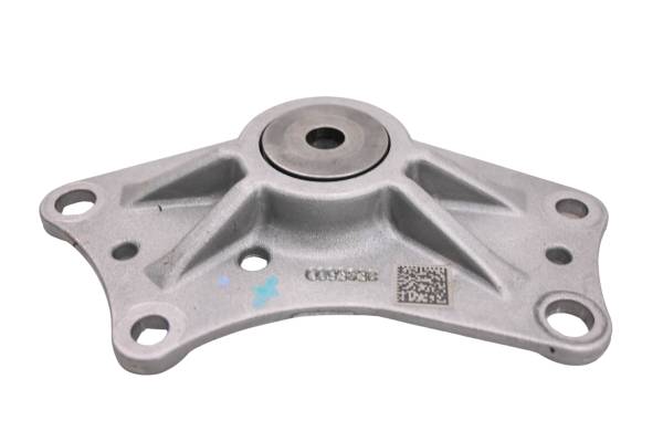 22 Indian FTR1200S Cam Chain Tensioner Plate