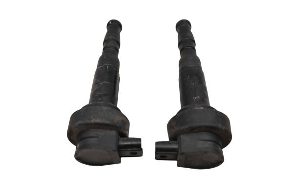 BMW - 08 BMW F800ST Ignition Coils