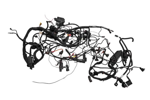 BMW - 08 BMW F800ST Wire Harness Electrical Wiring