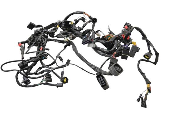 07 Triumph Speed Triple Wire Harness Electrical Wiring