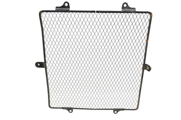 Kawasaki - 09 Kawasaki Teryx 750 4x4 Radiator Cover Screen KRF750