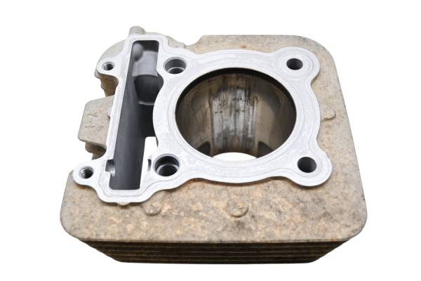 Yamaha - 08 Yamaha Raptor 250 2x4 Cylinder YFM250R For Parts