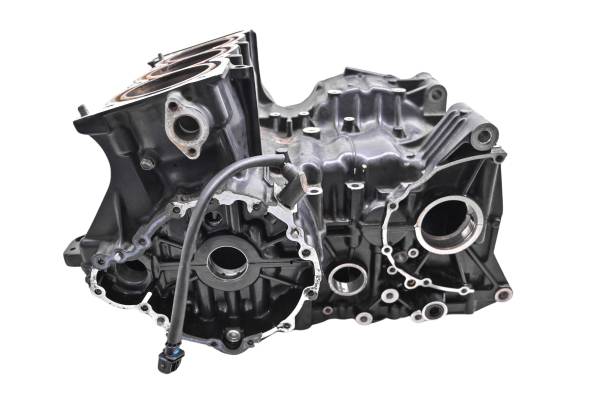 05 Triumph Speed Triple 1050 Crankcase Center Crank Case & Cylinders