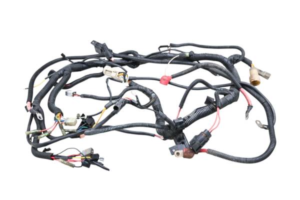 Bombardier - 03 Can-Am DS650 Baja 2x4 Wire Harness Electrical Wiring Bombardier