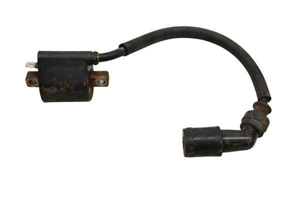 Arctic Cat - 99 Arctic Cat 500 4x4 Ignition Coil