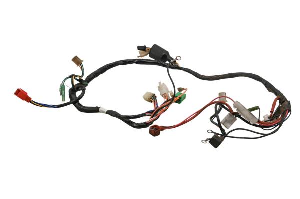 Bombardier - 02 Can-Am DS90 2x4 Wire Harness Electrical Wiring Bombardier