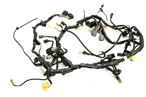 Kawasaki - 13 Kawasaki Ninja 300 Wire Harness Electrical Wiring EX300