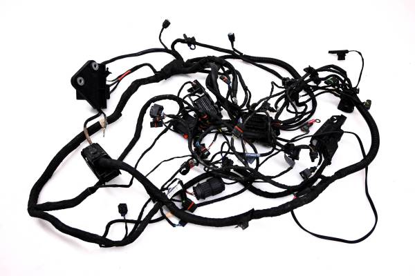 BMW - 16 BMW F700GS Wire Harness Electrical Wiring