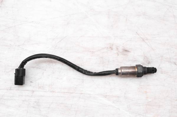 Royal Enfield - 18 Royal Enfield Himalayan 410 Euro 4 O2 Oxygen Sensor