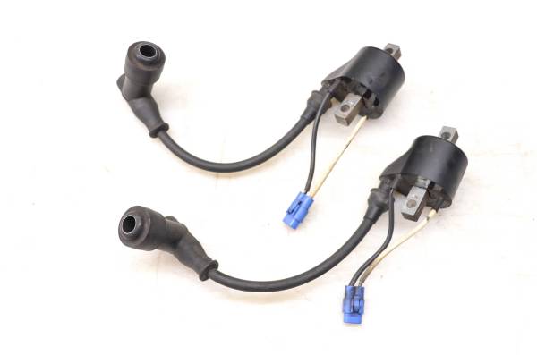 Arctic Cat - 14 Arctic Cat ZR6000 El Tigre Ignition Coils 129"