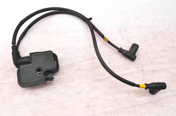 Ski-Doo - 05 Ski-Doo Mach Z 1000 SDI Ignition Coil 121"