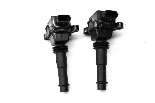 Polaris - 04 Polaris MSX 110 Ignition Coils