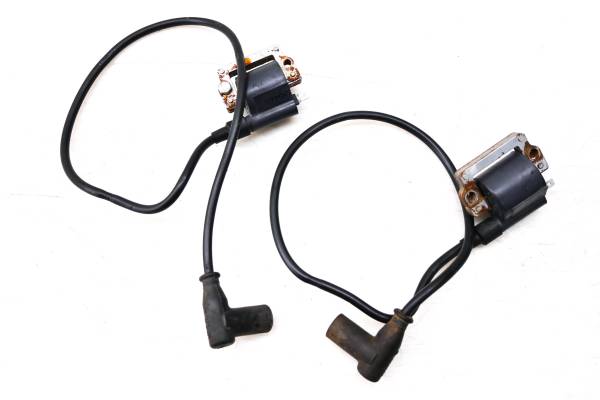 Sea-Doo - 01 Sea-Doo RX Ignition Coils Bombardier