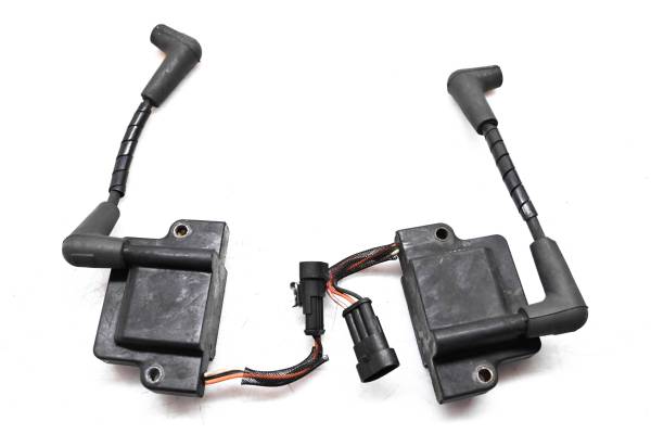Ski-Doo - 12 Ski-Doo Renegade Back Country X 800R E-TEC Ignition Coils 137"