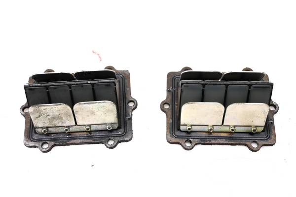 Polaris - 01 Polaris Virage 3-Pass Reed Valves