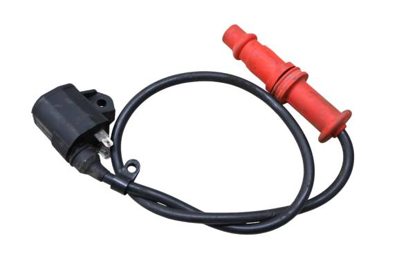 Polaris - 09 Polaris Sportsman 500 4x4 Ignition Coil