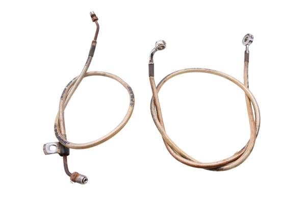 Polaris - 01 Polaris Xplorer 250 4x4 Front Brake Lines