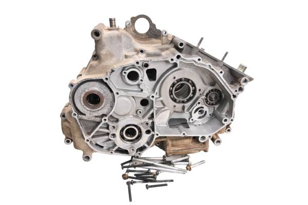 Arctic Cat - 06 Arctic Cat 650 H1 4x4 Crankcase Center Crank Case