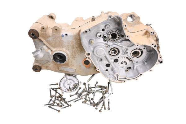 Arctic Cat - 01 Arctic Cat 250 4x4 Crankcase Center Crank Case