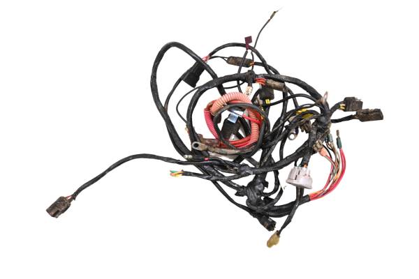 Arctic Cat - 01 Arctic Cat 250 4x4 Wire Harness Electrical Wiring