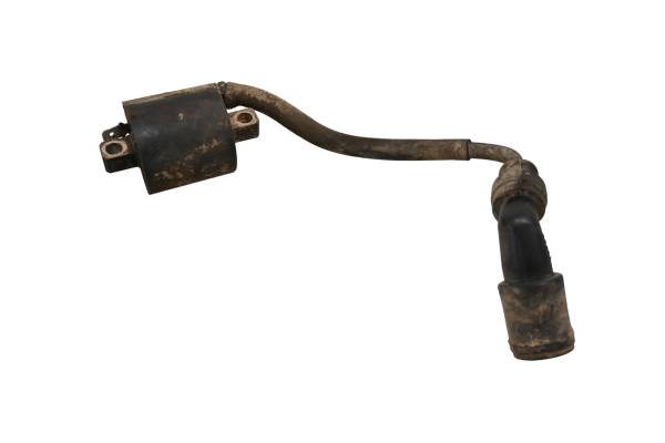 Arctic Cat - 01 Arctic Cat 500 Auto 4x4 Ignition Coil