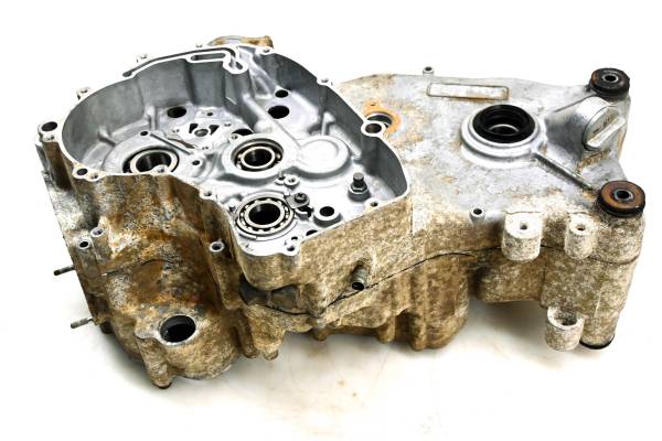 Arctic Cat - 00 Arctic Cat 300 4x4 Crankcase Center Crank Case