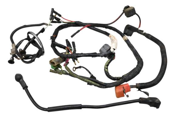 Honda - 01 Honda TRX300EX Wire Harness Electrical Wiring Sportrax 300 2x4