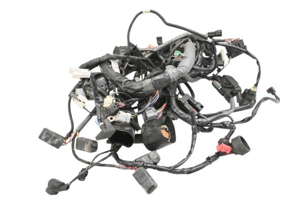 Kawasaki - 13 Kawasaki Concours 14 Wire Harness Electrical Wiring ZG1400