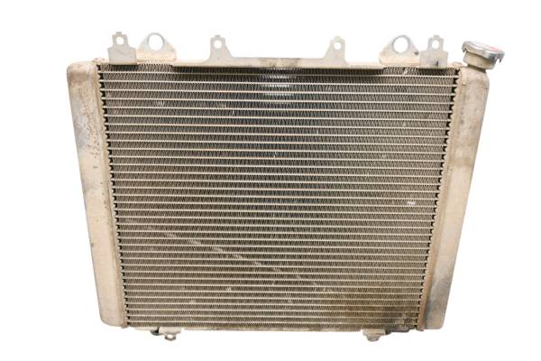 Kawasaki - 17 Kawasaki Mule Pro-DXT EPS LE Radiator KAF1000CH