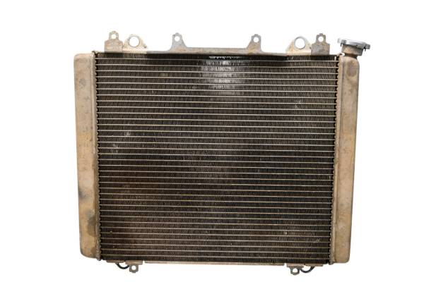 Kawasaki - 19 Kawasaki Mule PRO-DXT EPS 4x4 Radiator KAF1000