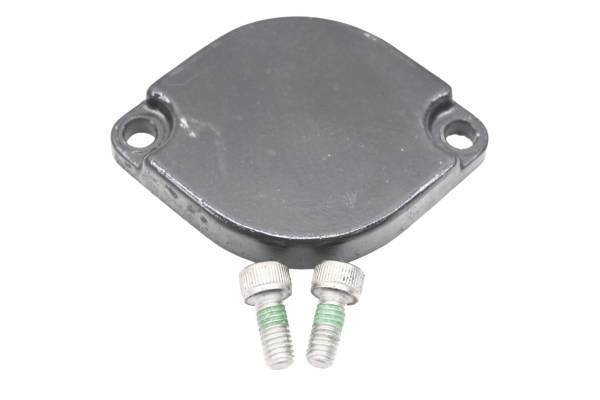 Kawasaki - 01 Kawasaki Ultra 150 Crankcase Balancer Cover JH1200