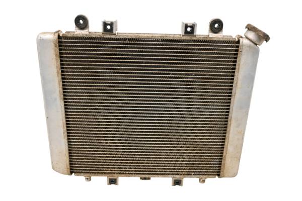 Kawasaki - 07 Kawasaki Brute Force 750 4x4i Radiator KVF750
