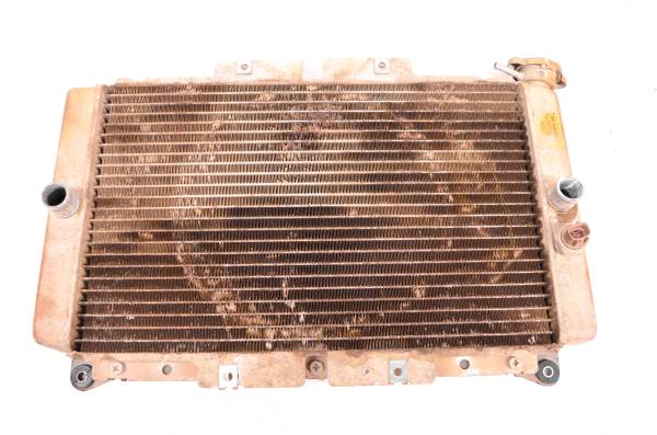 Yamaha - 09 Yamaha Rhino 450 4x4 Radiator YXR450