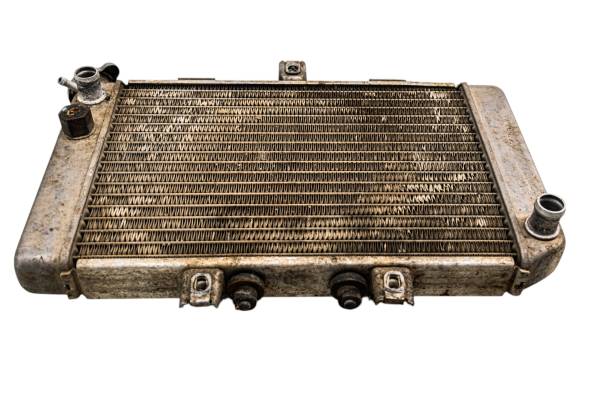 Polaris - 04 Polaris Predator 500 2x4 Radiator