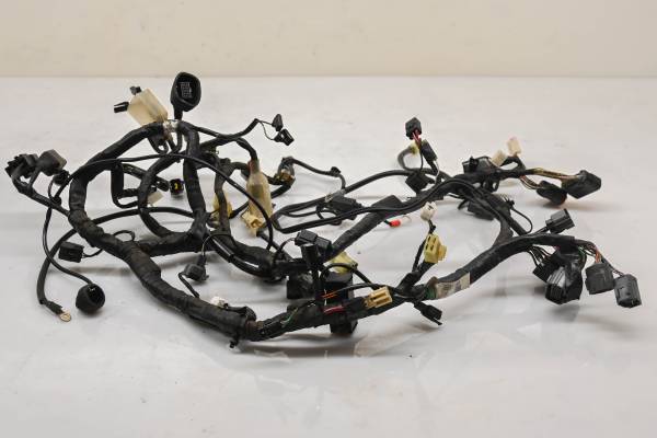 Kawasaki - 14 Kawasaki Ninja 300 ABS Wire Harness Electrical Wiring EX300