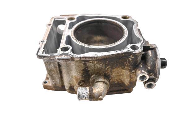 Polaris - 96 Polaris Sportsman 500 4x4 Cylinder For Parts