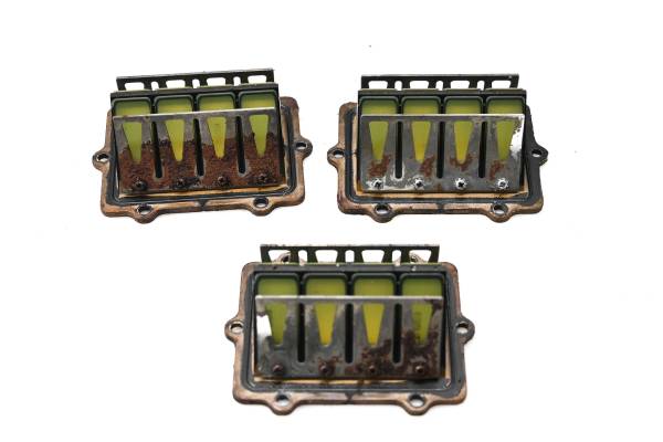 Polaris - 03 Polaris MSX 140 Reed Valves