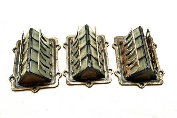 Polaris - 02 Polaris Genesis I 4-Pass Reed Valves