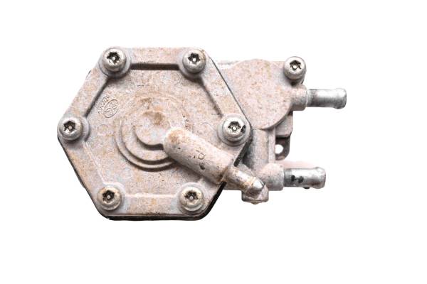 Polaris - 96 Polaris Sportsman 500 4x4 Fuel Pump