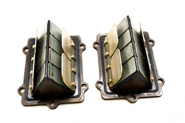 Polaris - 02 Polaris Virage i 800 Reed Valves