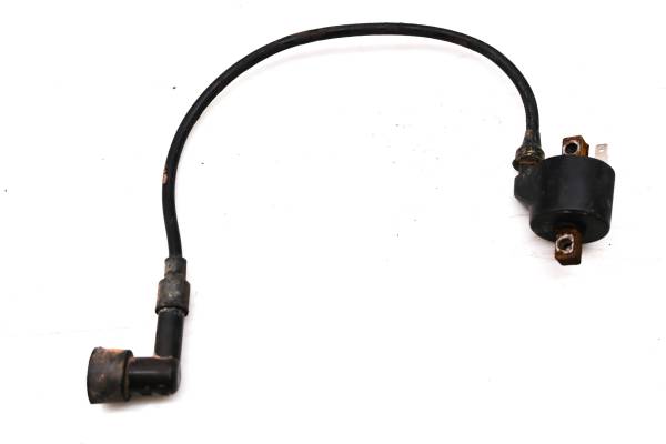 Polaris - 00 Polaris Trail Blazer 250 2x4 Ignition Coil