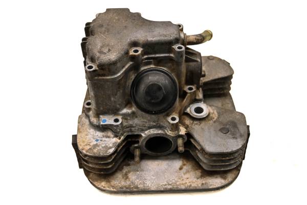 Polaris - 11 Polaris Trail Boss 330 2x4 Cylinder Head